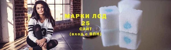 индика Наволоки