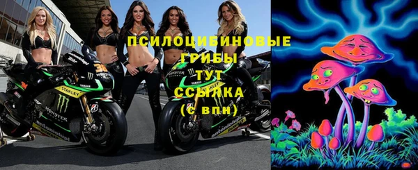 шишки Нефтекумск
