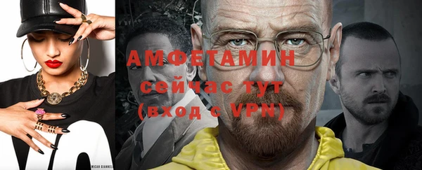 молекула духа Себеж