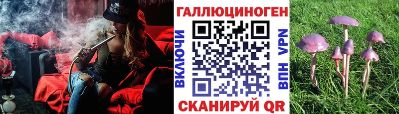 дарк нет официальный сайт  купить наркотики сайты  Магнитогорск  Галлюциногенные грибы Magic Shrooms 